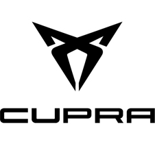 cupra born starter motor